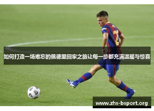 如何打造一场难忘的佩德里回家之旅让每一步都充满温暖与惊喜